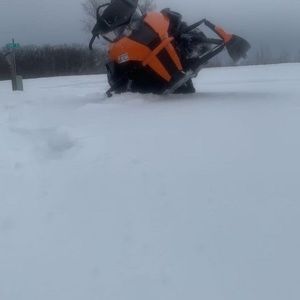 Meet your Posher, Wyatt